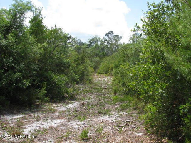 2155 State Road 40, Home with 0 bedrooms, 0 bathrooms and null parking in De Leon Springs FL | Image 42