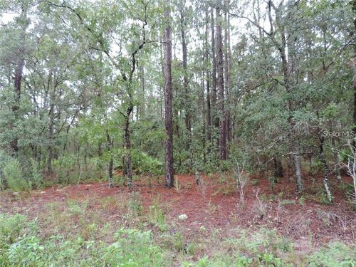 TBD Sw 135th Terrace Rd, DUNNELLON, FL, 34432 | Card Image