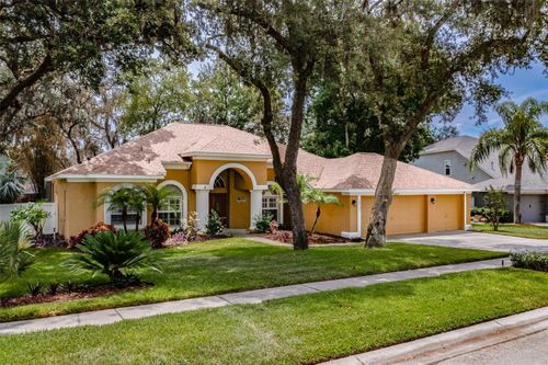 10131 Paddock Oaks Dr, RIVERVIEW, FL, 33569-8741 | Card Image
