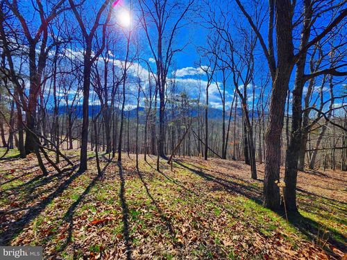 LOT 24 Old Mountain Run Trl, PURGITSVILLE, WV, 26852-8126 | Card Image