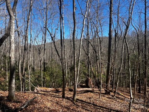 Lot 68 Cherrywood Ln, Pisgah Forest, NC, 28768-9514 | Card Image