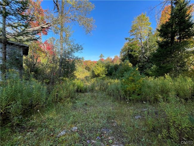4184 Factory Rd, Home with 1 bedrooms, 0 bathrooms and null parking in Natural Bridge NY | Image 12