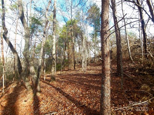 8-000 Skylark Ln, Tryon, NC, 28782 | Card Image