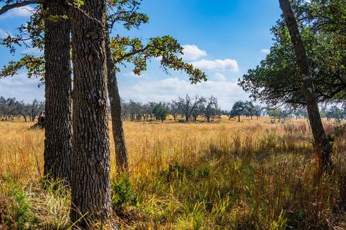 Lot 12 Turn Out Ln, Harper, TX, 78631 | Card Image