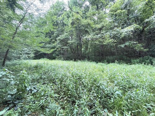 00000 E Ferndale Rd, Rockville, IN, 47872 | Card Image