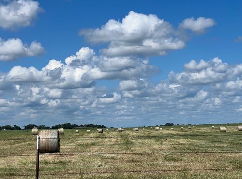 269 Vz County Road 4305, Ben Wheeler, TX, 75754-7009 | Card Image