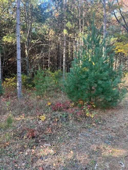 VL C Mckinley Rd, Big Rapids, MI, 49307 | Card Image