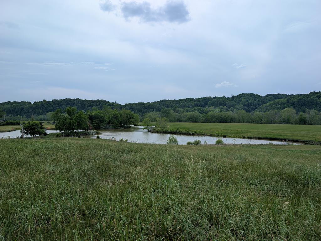 Land in Burkesville