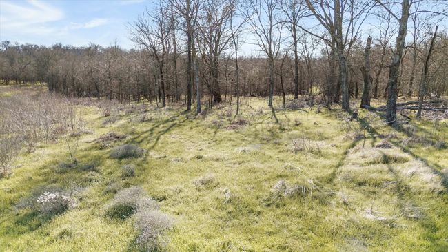 View of landscape with a view of trees | Image 9