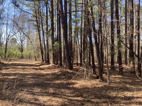 0 Legion Rd., Saint Stephen, SC, 29479 | Card Image