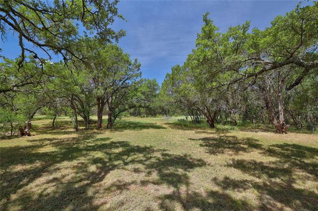 View of yard | Image 31