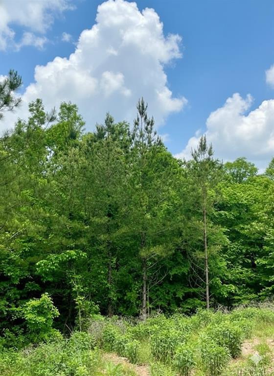 Land in Broken Bow 2
