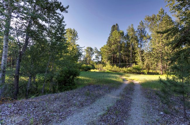 279 Conner Cutoff Rd, Home with 0 bedrooms, 0 bathrooms and null parking in Conner MT | Image 7