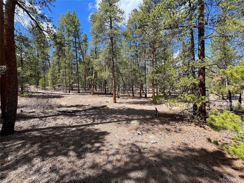 1013 Sequoia Dr, Twin Lakes, CO, 81251 | Card Image