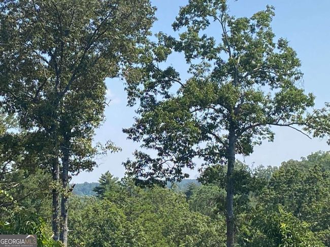 0 Woodstone Trail, Home with 0 bedrooms, 0 bathrooms and null parking in Ellijay GA | Image 18