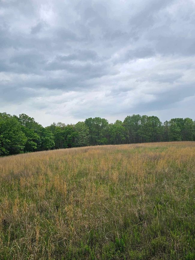 South Field 2 | Image 25