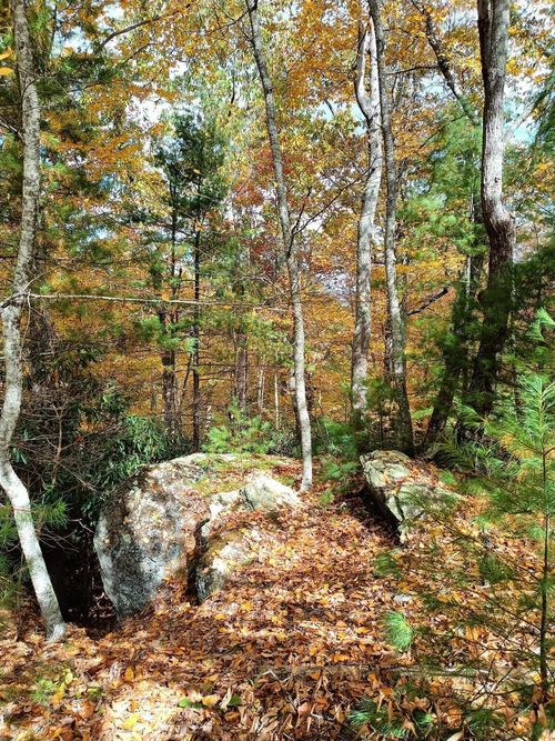 297 Reed Hill Rd Nw, Floyd, VA, 24091-3633 | Card Image