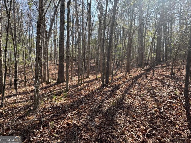 TRACT-1 - 0 Wisteria Ln, Home with 0 bedrooms, 0 bathrooms and null parking in Mansfield GA | Image 6