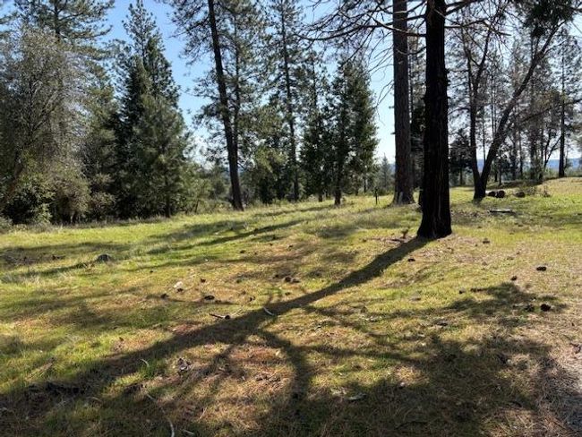 19292 Shawnee Trl, Home with 0 bedrooms, 0 bathrooms and null parking in Mokelumne Hill CA | Image 10