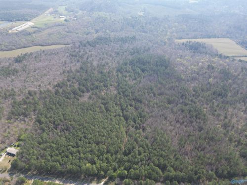 80 +/- Acres Pine Ridge Rd, Wellington, AL, 36279 | Card Image
