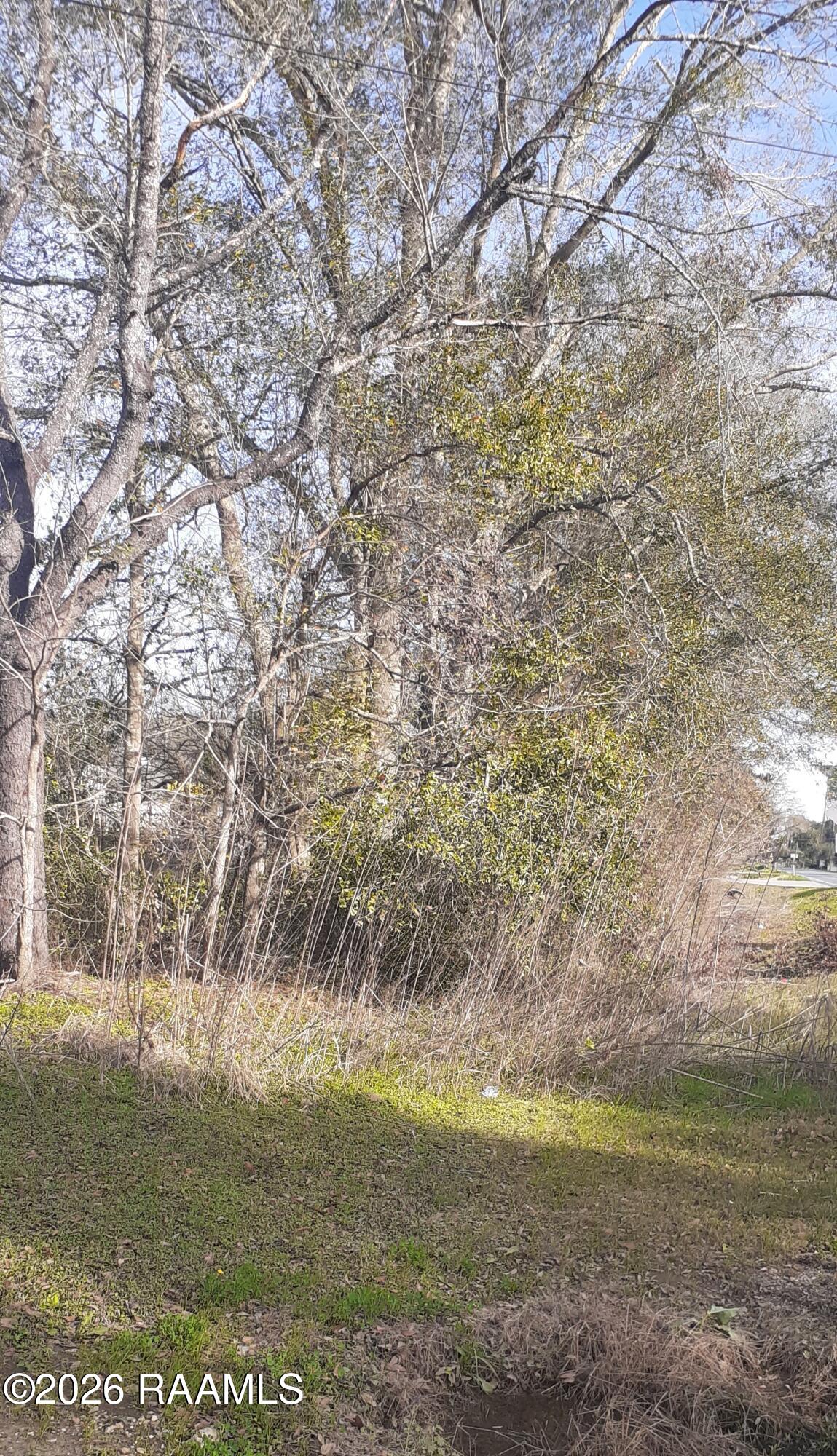 Land in Carencro