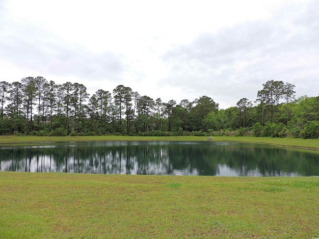 Water view with a heavily wooded area | Image 18