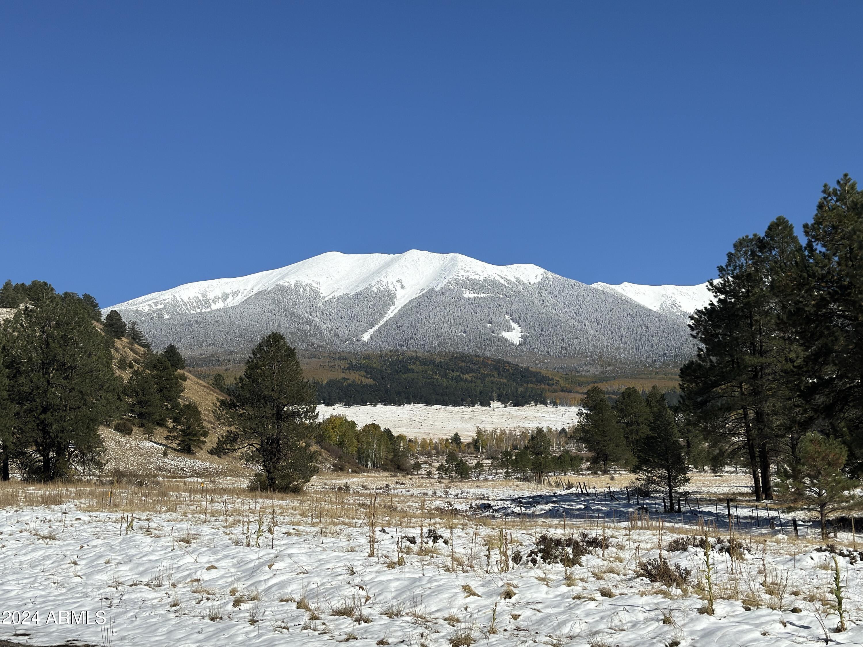 Land in Flagstaff 4