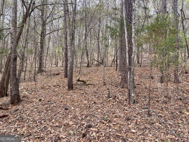 0 Green Oak Cir, Home with 0 bedrooms, 0 bathrooms and null parking in Thomaston GA | Image 29
