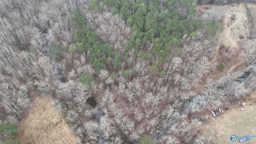 1 Sugarland Lake Resort, Oneonta, AL, 35121 | Card Image