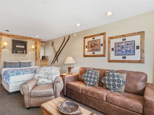 214-535 S Park Ave, BRECKENRIDGE, CO, 80424-6967 | Card Image