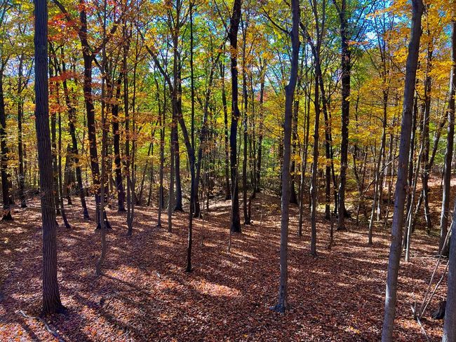 213 S Benner Hill Rd, Home with 3 bedrooms, 1 bathrooms and 1 parking in Bainbridge OH | Image 63