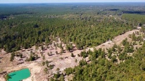 17224 Fm 943, Livingston, TX, 77351-2932 | Card Image