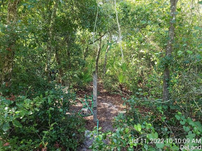 43041 Jewell Dr, House other with 3 bedrooms, 2 bathrooms and null parking in DELAND FL | Image 19