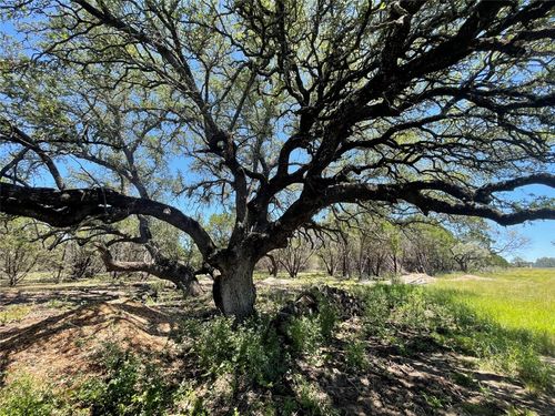 65 Estate View Circle, Lampasas, TX, 76550 | Card Image