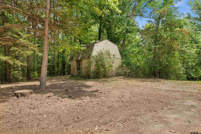 20568 State Highway 110 S, House other with 4 bedrooms, 3 bathrooms and null parking in Troup TX | Image 36