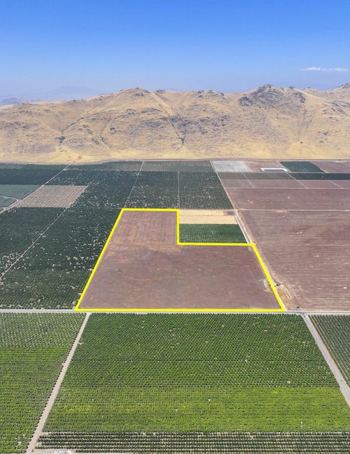 0 Avenue 384, Cutler, CA, 93615 | Card Image