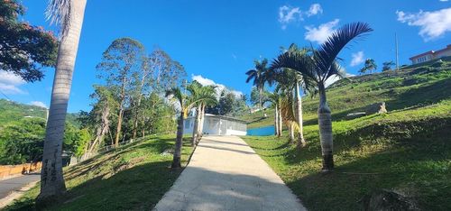 lots-a-and-b-KM 12.2 INT Las Papayas Rd (Sr-185), CAROLINA, PR, 00987 | Card Image