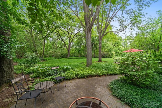 Gorgeous quiet back yard with mature trees and pro | Image 4