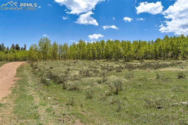 130 Eleven Mile State Park, Home with 0 bedrooms, 0 bathrooms and null parking in Lake George CO | Image 15