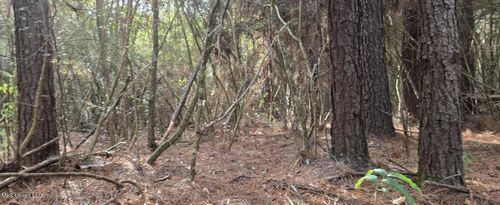 275 Pushapatapa Rd, Tylertown, MS, 39667-7073 | Card Image