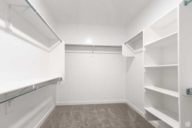 Spacious closet featuring carpet | Image 14