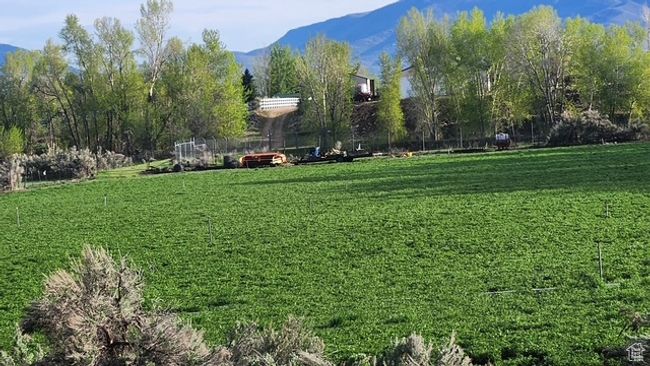 Surrounding community featuring a mountain view and a lawn | Image 25