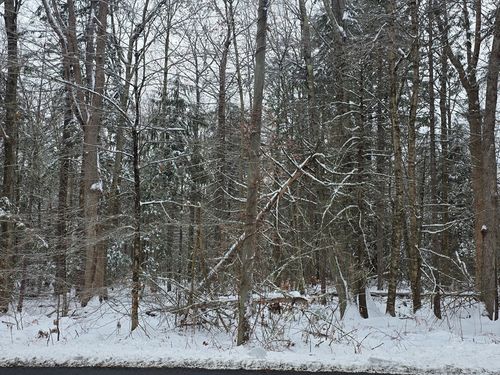 1154 Colebrook River Rd, Tolland, MA, 01034-9570 | Card Image