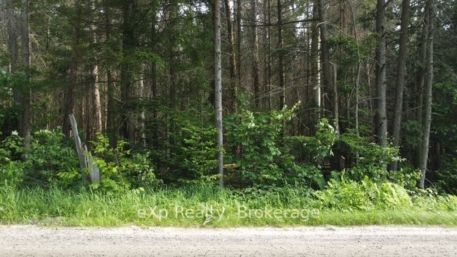 Residential in Parry Sound Remote Area 5