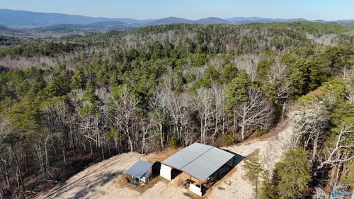1032 County Road 202, Borden Springs, AL, 36272 | Card Image