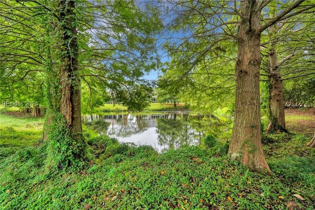 35 Wendover Ct, House other with 2 bedrooms, 2 bathrooms and null parking in Bluffton SC | Image 42