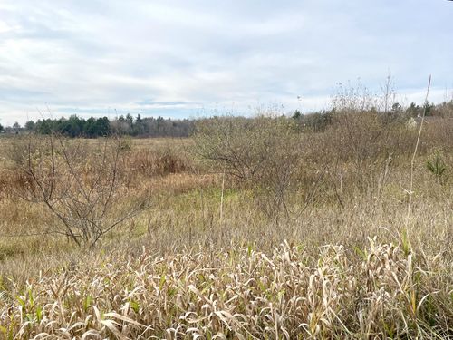 Parcel 3 Maes Road, West Branch Township, MI, 48661 | Card Image