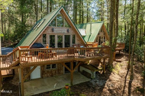 238 Ripshin Lake Rd, Roan Mountain, TN, 37687-3767 | Card Image