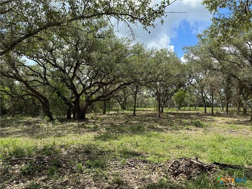 1776 Fm 1351, Goliad, TX, 77963-0395 | Card Image
