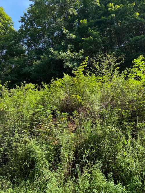 115 Hughes Hollow Rd, Philadelphia, TN, 37846-3885 | Card Image